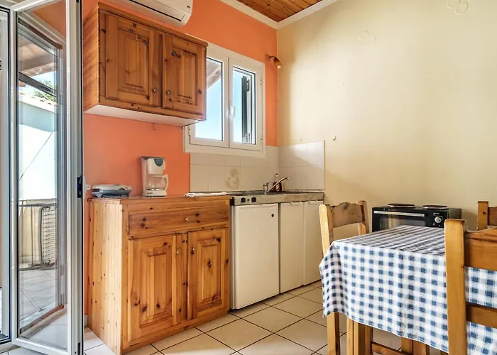 Lefkothea 1 Apartment Frinion