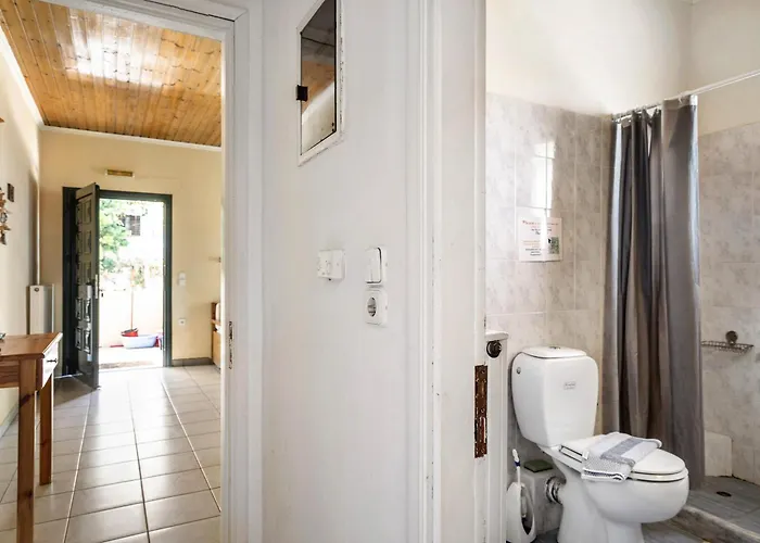 Lefkothea 1 * Frinion